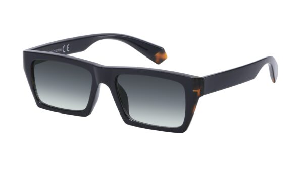 LE8164 - Imagen 4