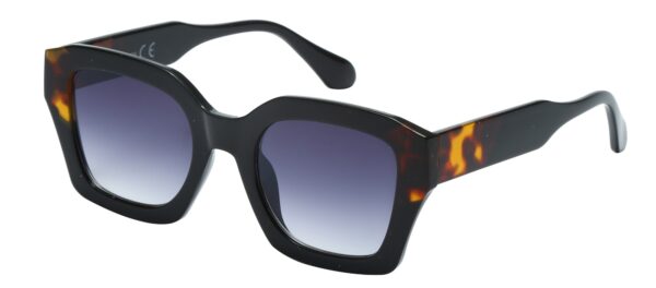 LE8212 - Imagen 2