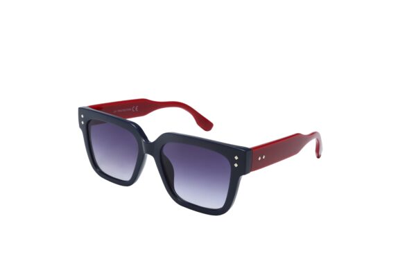 LE8217 - Imagen 3